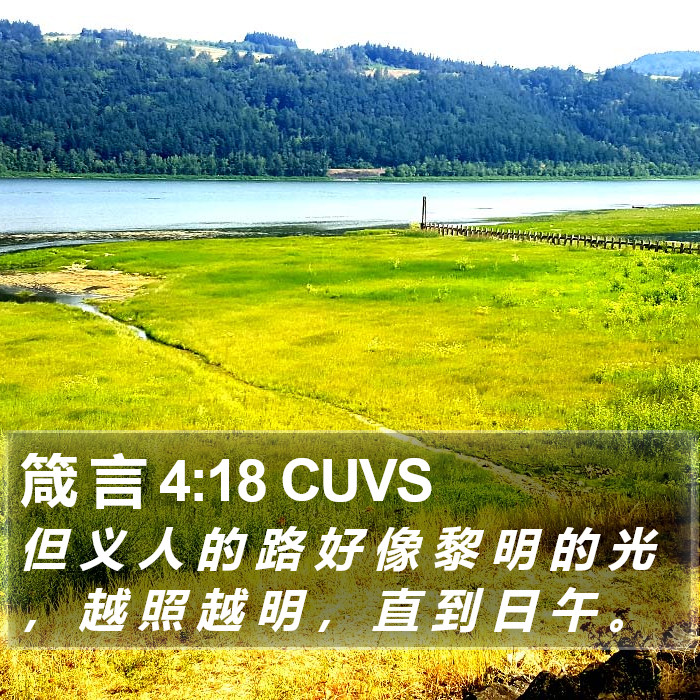 箴 言 4:18 CUVS Bible Study