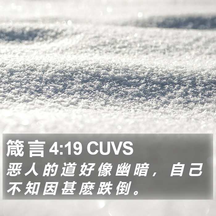 箴 言 4:19 CUVS Bible Study