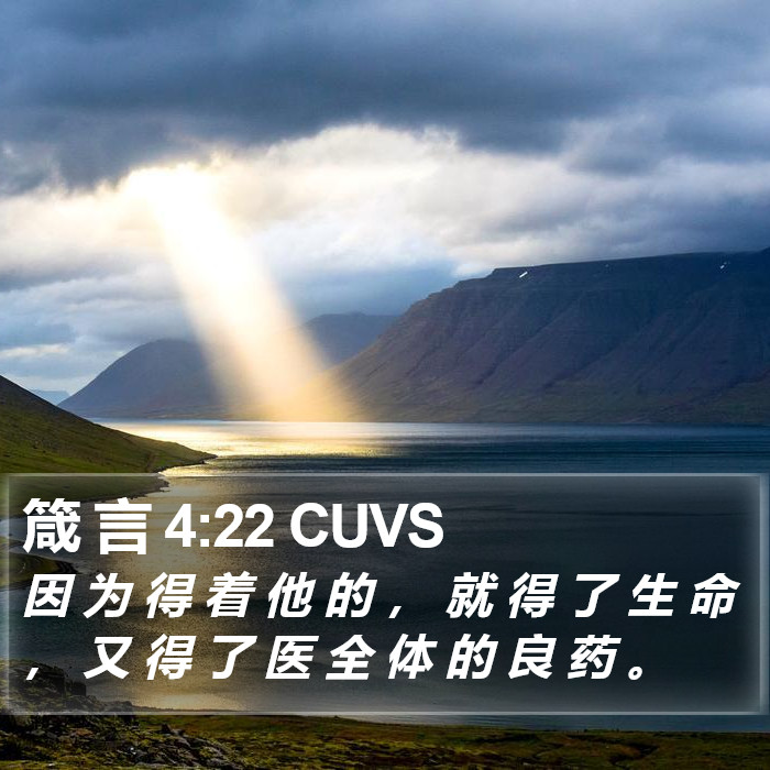 箴 言 4:22 CUVS Bible Study