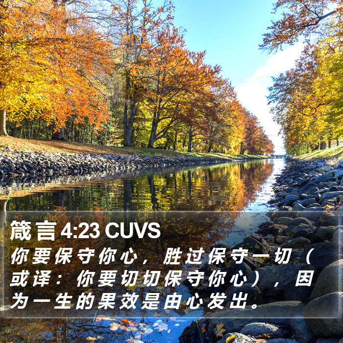 箴 言 4:23 CUVS Bible Study