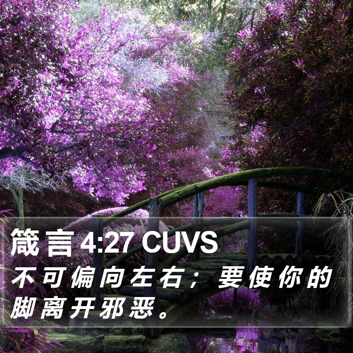 箴 言 4:27 CUVS Bible Study