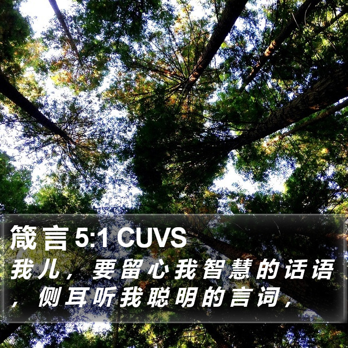 箴 言 5:1 CUVS Bible Study