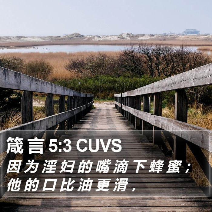 箴 言 5:3 CUVS Bible Study