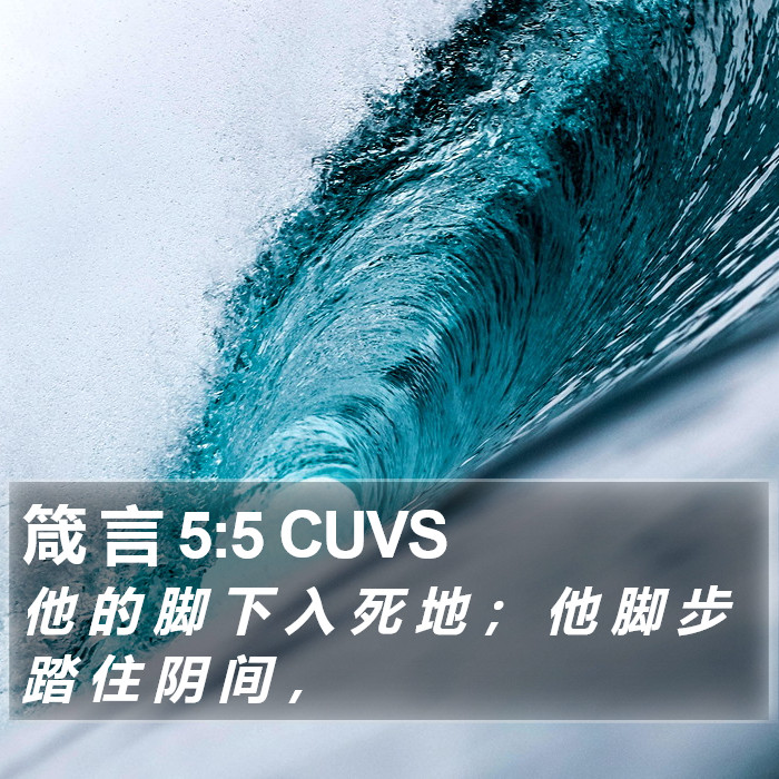 箴 言 5:5 CUVS Bible Study