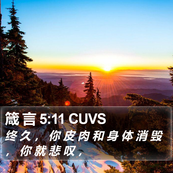 箴 言 5:11 CUVS Bible Study