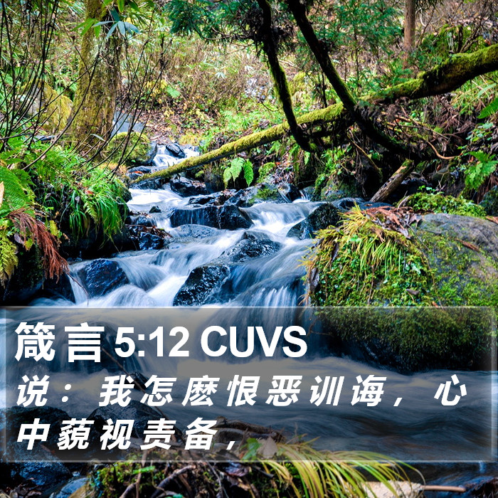 箴 言 5:12 CUVS Bible Study