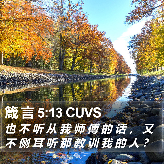 箴 言 5:13 CUVS Bible Study