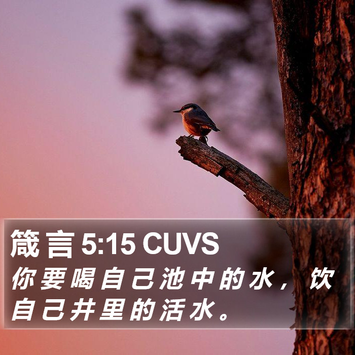 箴 言 5:15 CUVS Bible Study