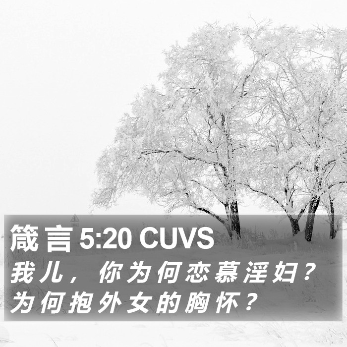 箴 言 5:20 CUVS Bible Study