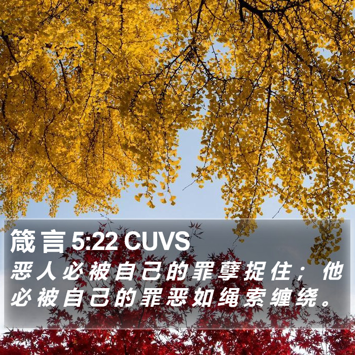 箴 言 5:22 CUVS Bible Study