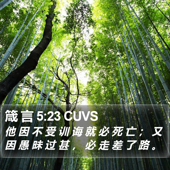 箴 言 5:23 CUVS Bible Study