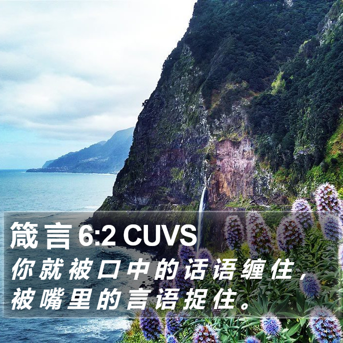 箴 言 6:2 CUVS Bible Study