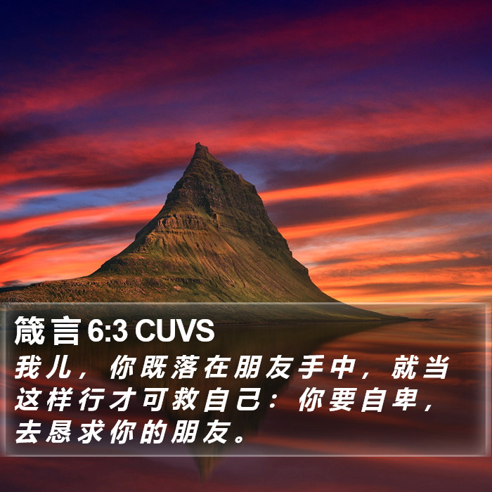 箴 言 6:3 CUVS Bible Study