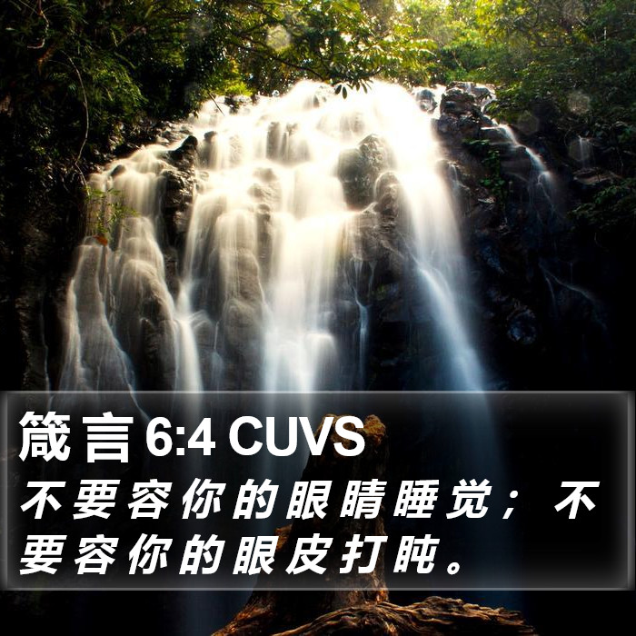 箴 言 6:4 CUVS Bible Study