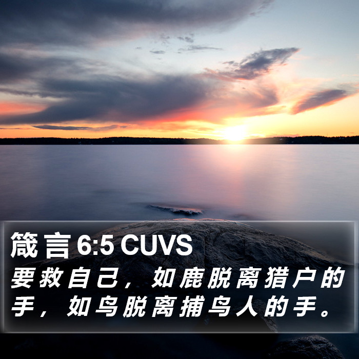 箴 言 6:5 CUVS Bible Study