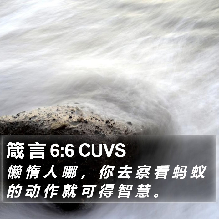 箴 言 6:6 CUVS Bible Study