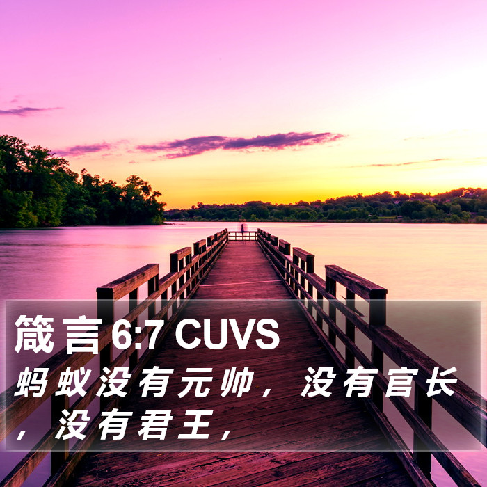 箴 言 6:7 CUVS Bible Study