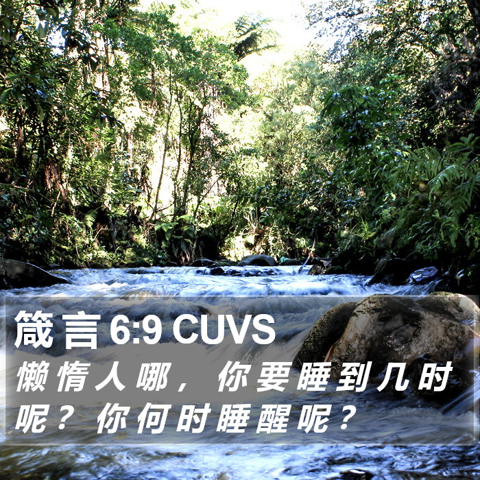 箴 言 6:9 CUVS Bible Study