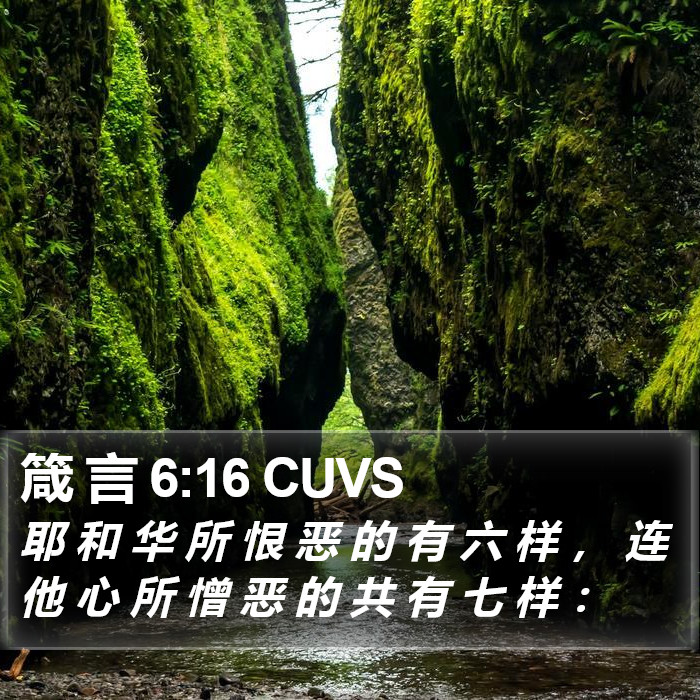 箴 言 6:16 CUVS Bible Study