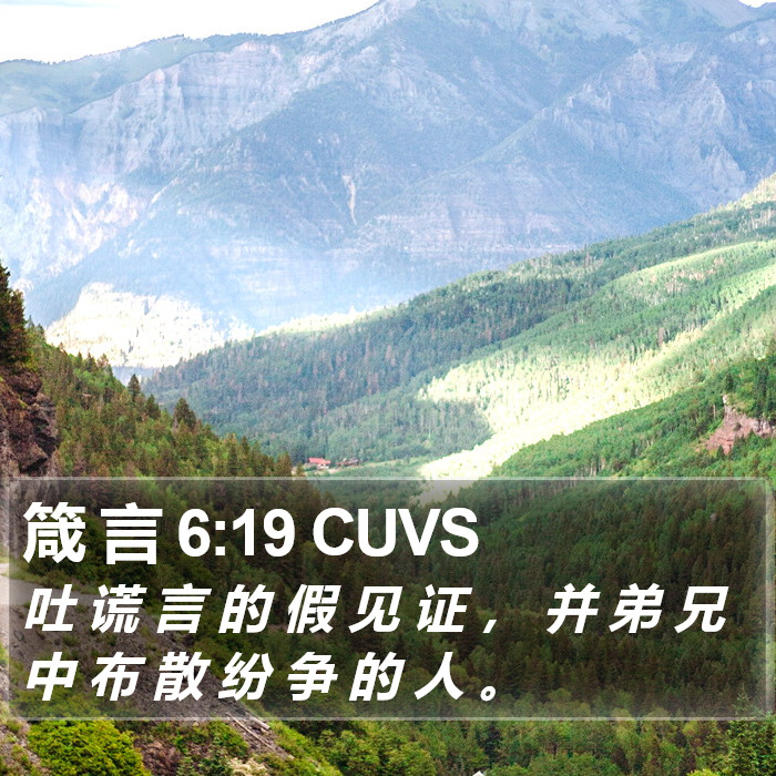 箴 言 6:19 CUVS Bible Study