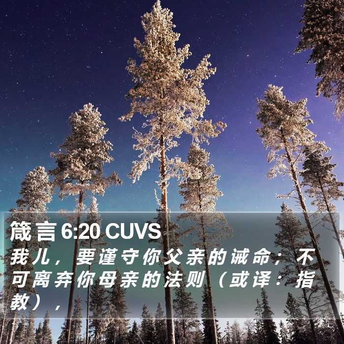 箴 言 6:20 CUVS Bible Study