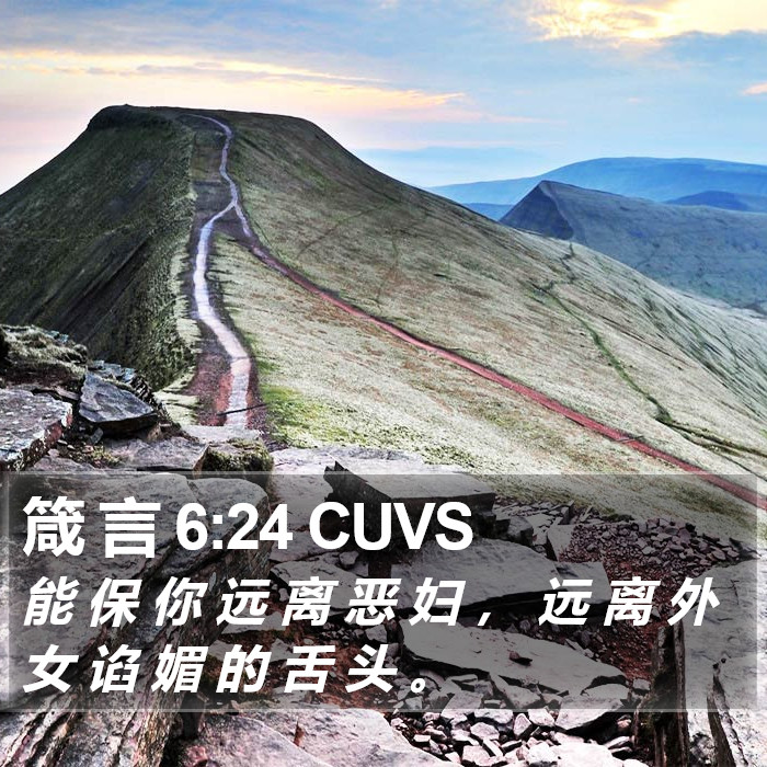 箴 言 6:24 CUVS Bible Study