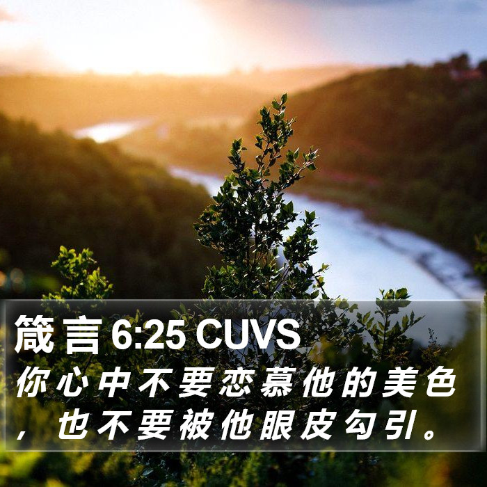 箴 言 6:25 CUVS Bible Study