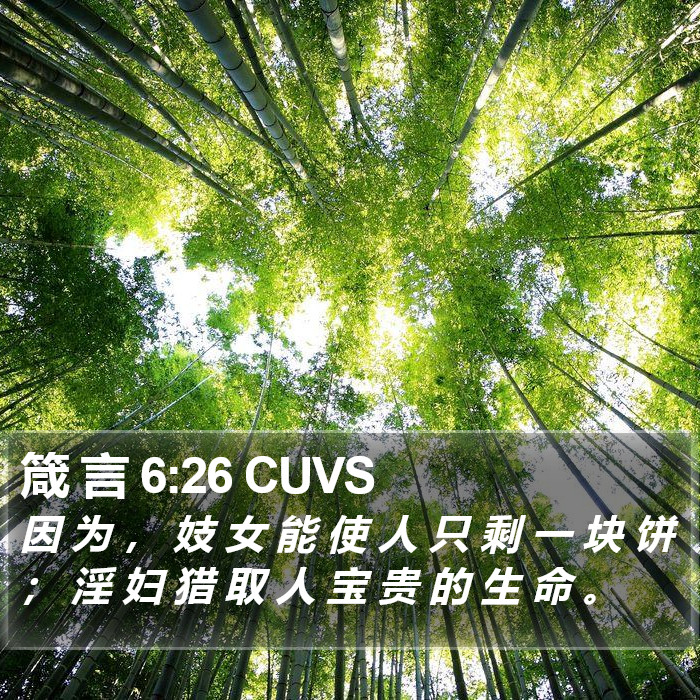 箴 言 6:26 CUVS Bible Study