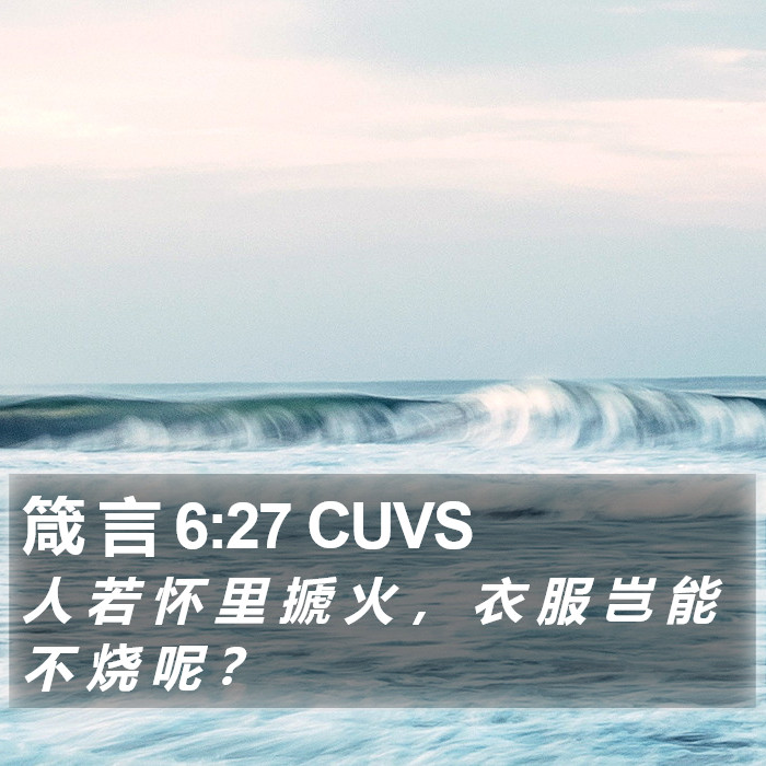 箴 言 6:27 CUVS Bible Study