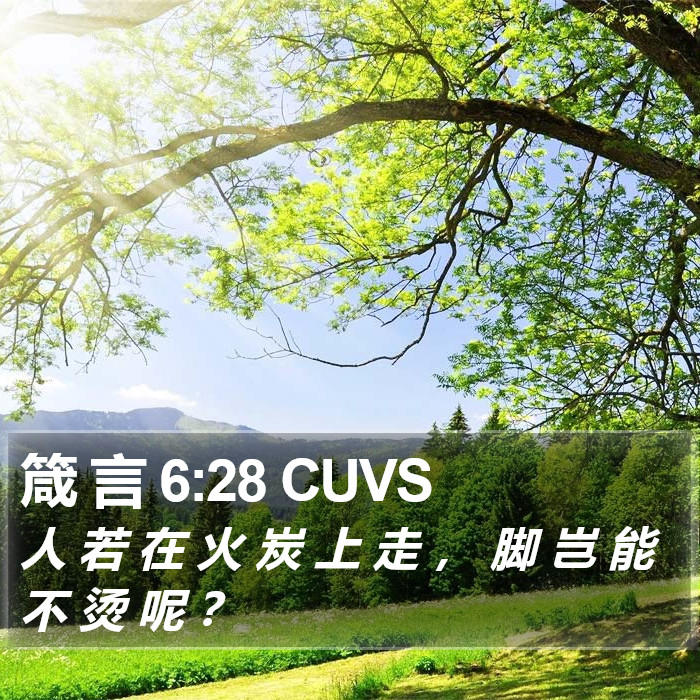箴 言 6:28 CUVS Bible Study