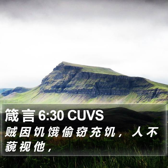 箴 言 6:30 CUVS Bible Study
