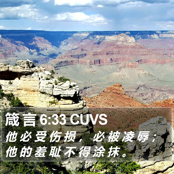 箴 言 6:33 CUVS Bible Study