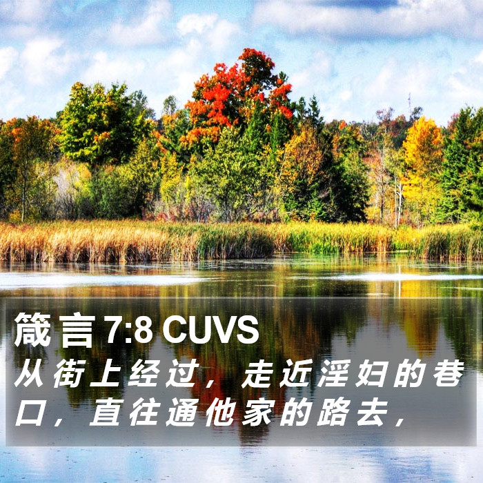 箴 言 7:8 CUVS Bible Study