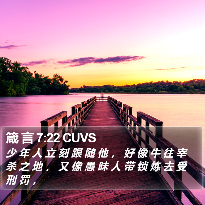箴 言 7:22 CUVS Bible Study