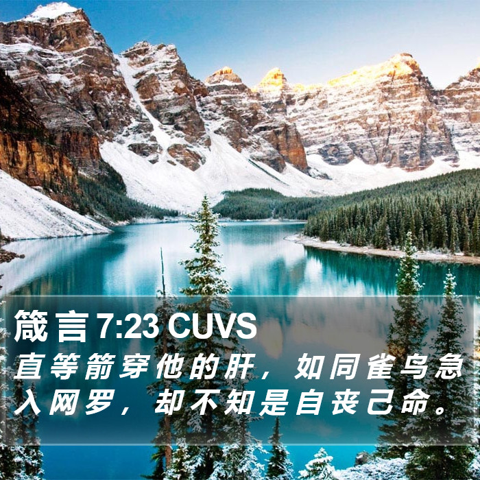 箴 言 7:23 CUVS Bible Study