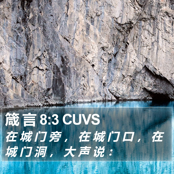 箴 言 8:3 CUVS Bible Study