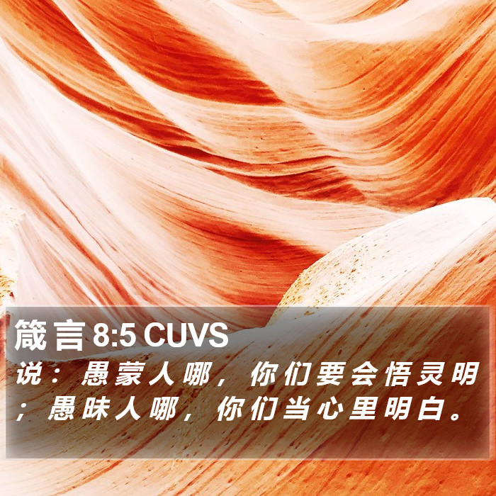 箴 言 8:5 CUVS Bible Study