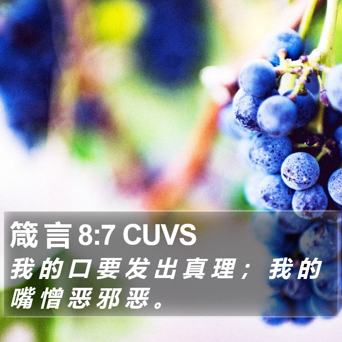 箴 言 8:7 CUVS Bible Study