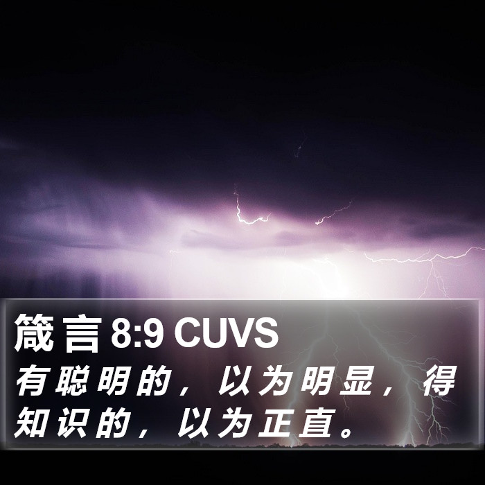 箴 言 8:9 CUVS Bible Study