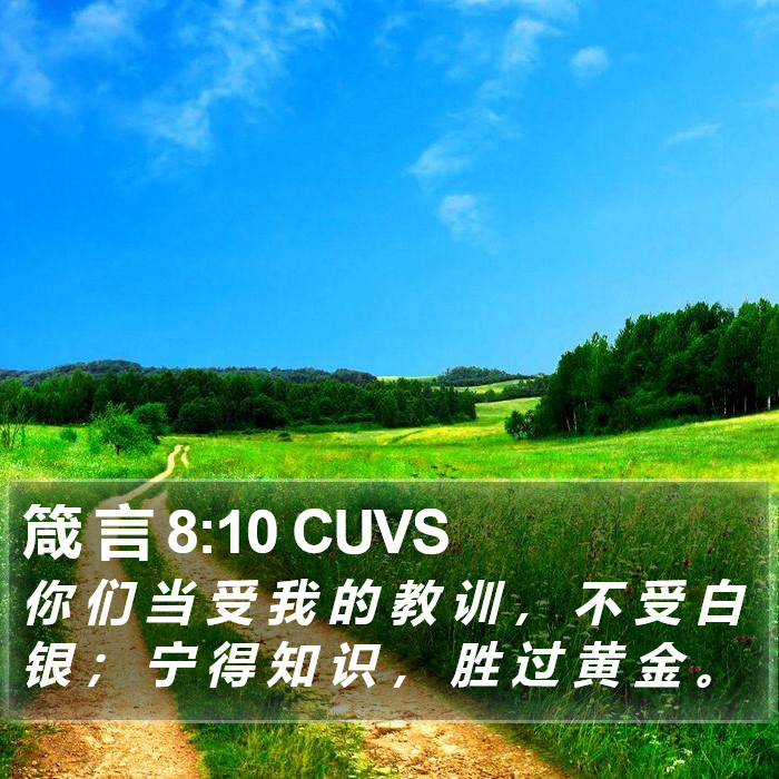 箴 言 8:10 CUVS Bible Study