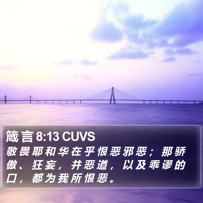 箴 言 8:13 CUVS Bible Study