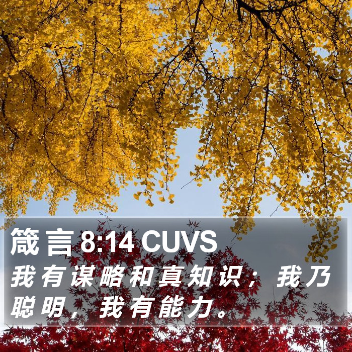 箴 言 8:14 CUVS Bible Study
