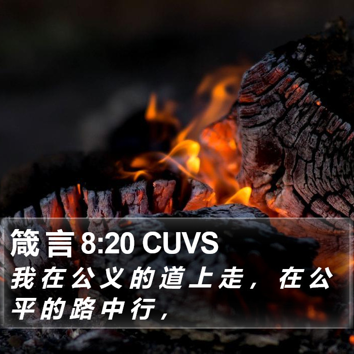 箴 言 8:20 CUVS Bible Study