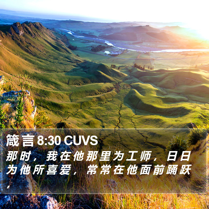箴 言 8:30 CUVS Bible Study