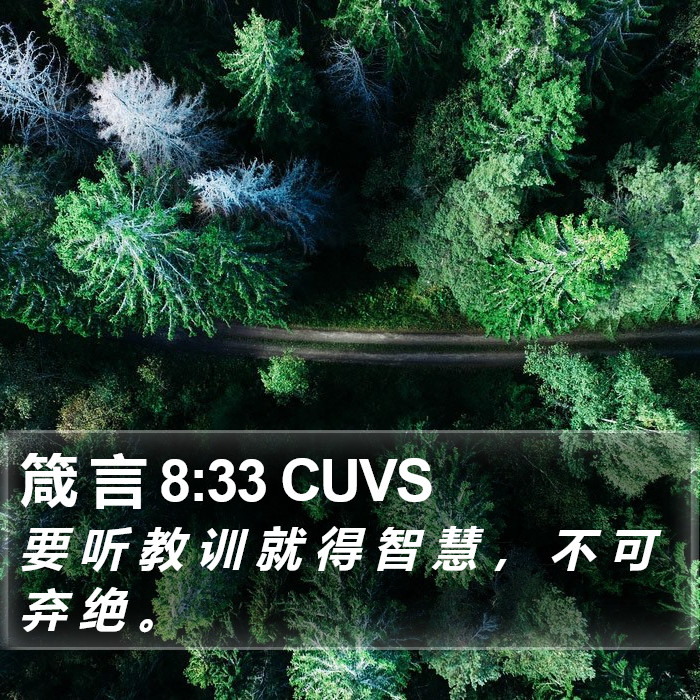 箴 言 8:33 CUVS Bible Study