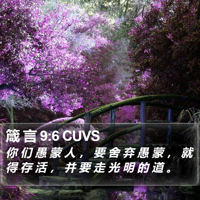 箴 言 9:6 CUVS Bible Study