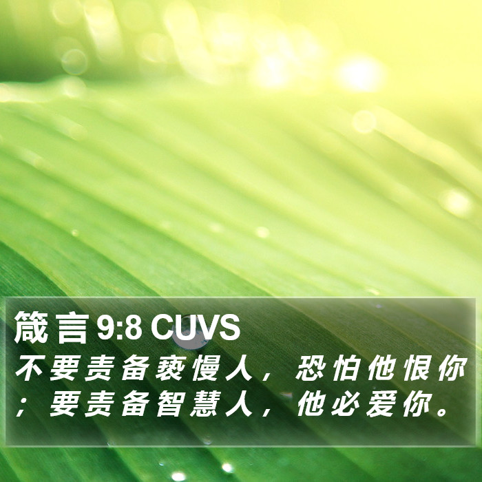 箴 言 9:8 CUVS Bible Study