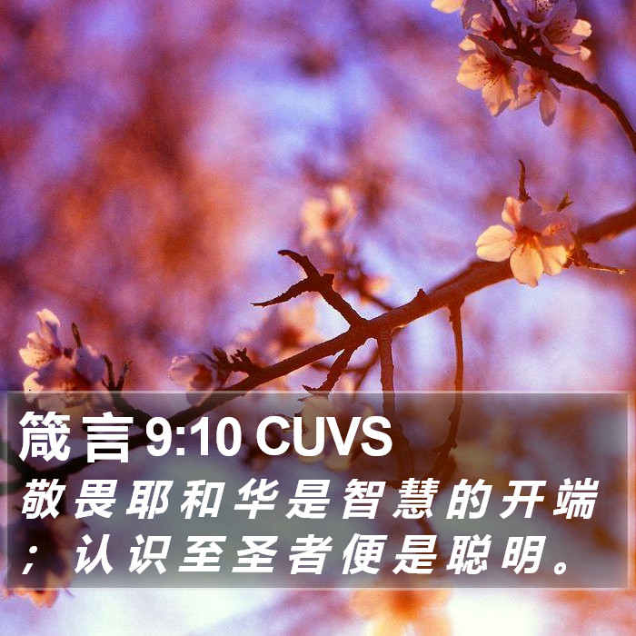 箴 言 9:10 CUVS Bible Study