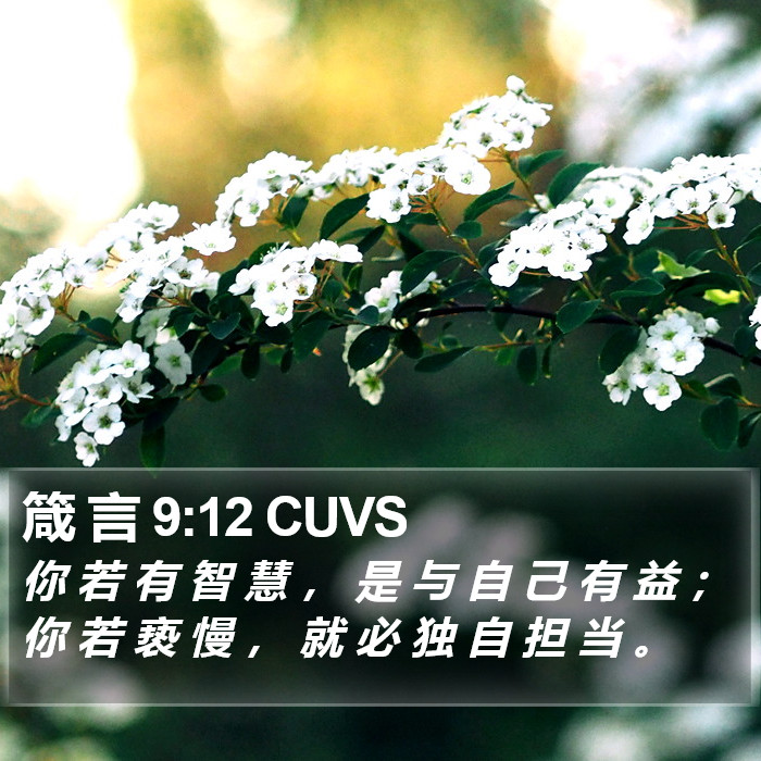 箴 言 9:12 CUVS Bible Study