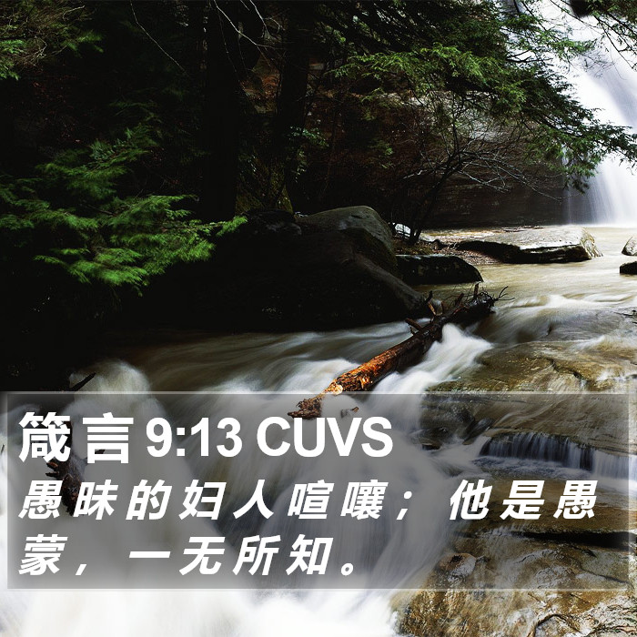 箴 言 9:13 CUVS Bible Study